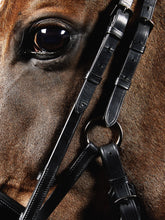 Load image into Gallery viewer, Kingsley Snaffle Bridle Special with Reins Black/Full