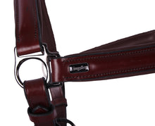 Load image into Gallery viewer, Kingsley Leather Halter Chestnut