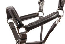 Load image into Gallery viewer, Kingsley Leather Halter Patent