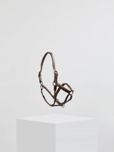 Load image into Gallery viewer, Kingsley Leather Halter Light Nut
