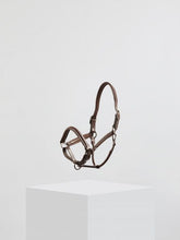 Load image into Gallery viewer, Kingsley Leather Halter Light Nut