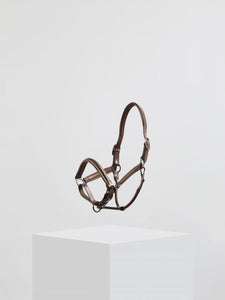 Kingsley Leather Halter Light Nut