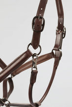 Load image into Gallery viewer, Kingsley Leather Halter Light Nut