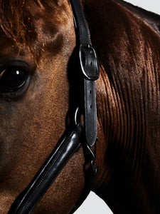 Kingsley Leather Halter Black
