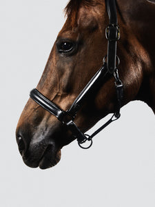 Kingsley Leather Halter Black